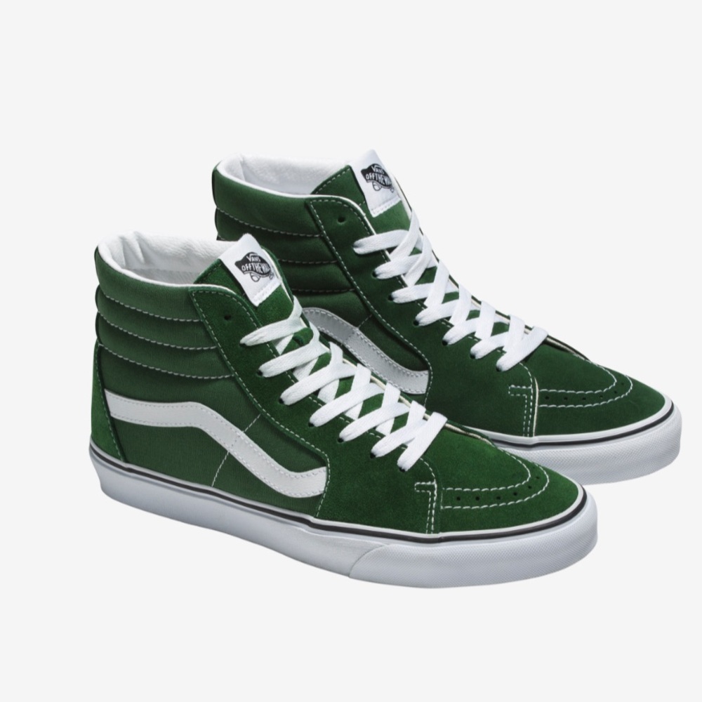 Vans Sk8 Hi in Greener Pastures NIB